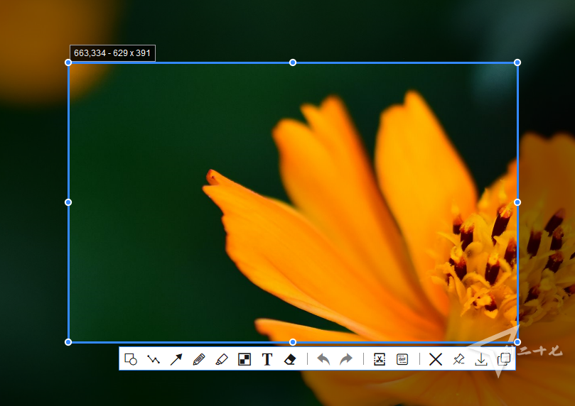  免费干净简洁 PixPin 截图截屏 工具 v1.8.2 安装版+便携版